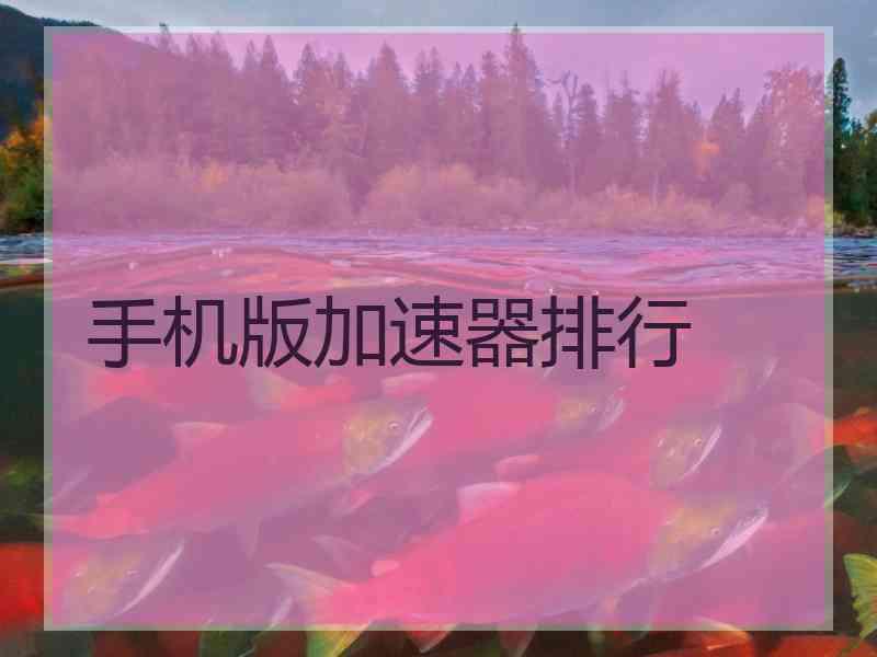 手机版加速器排行