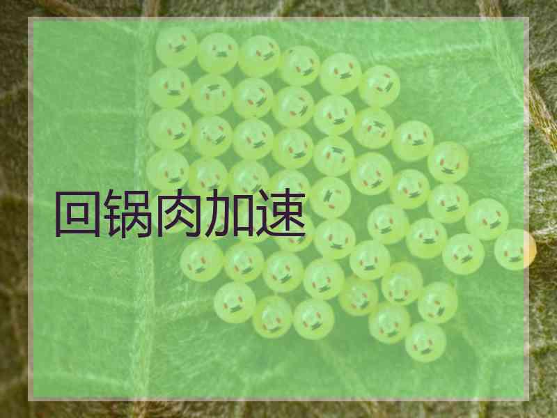 回锅肉加速