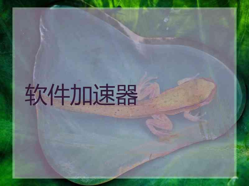 软件加速器
