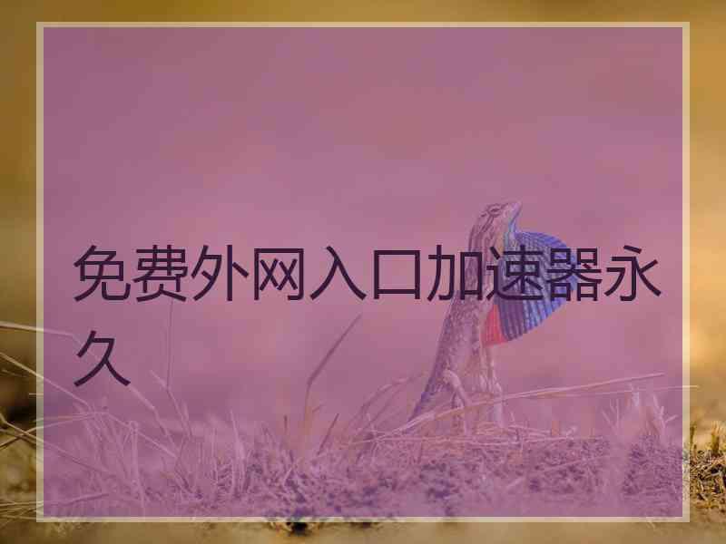 免费外网入口加速器永久