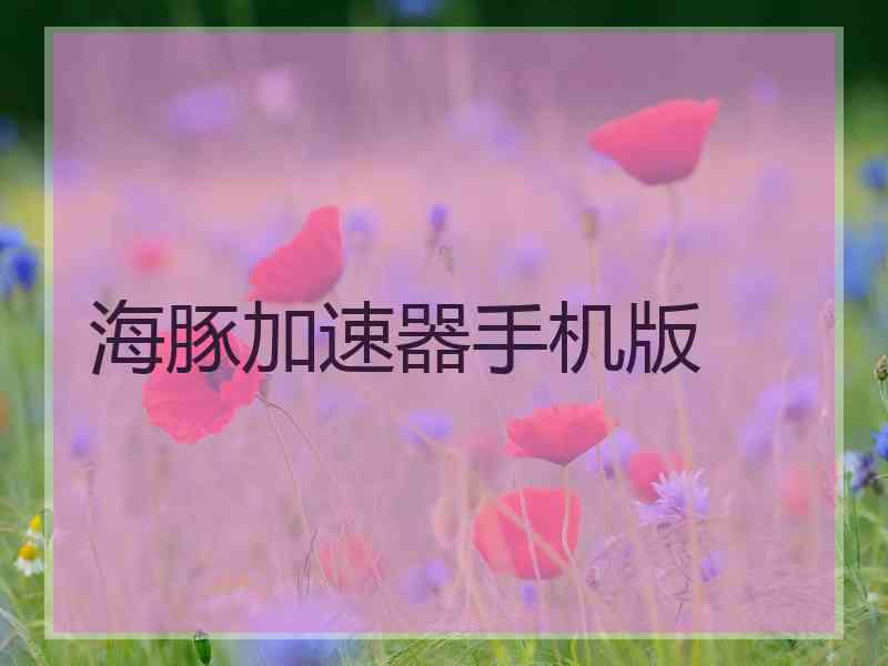 海豚加速器手机版