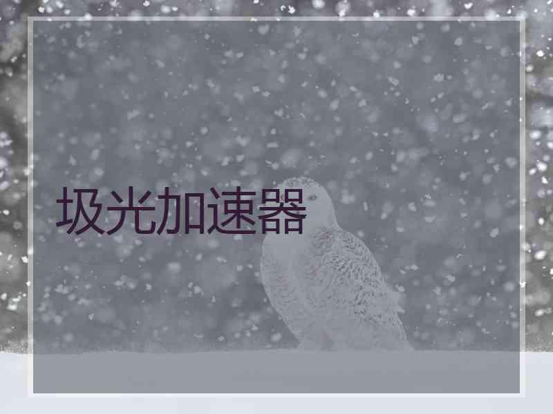 圾光加速器