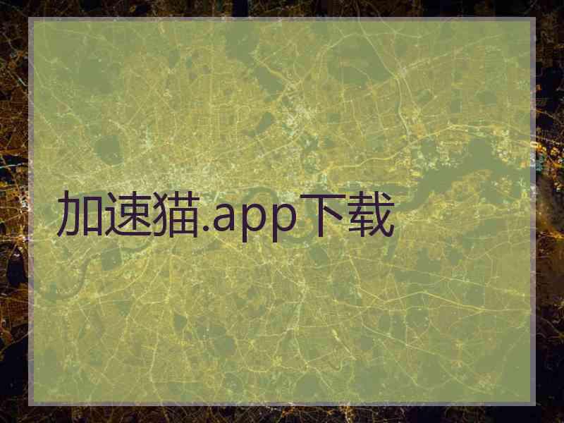 加速猫.app下载