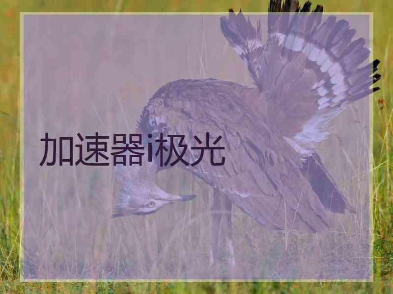 加速器i极光