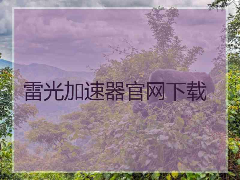 雷光加速器官网下载