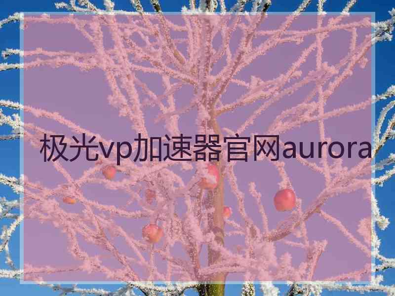极光vp加速器官网aurora