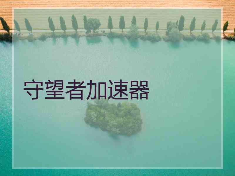 守望者加速器