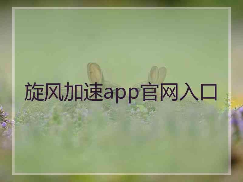 旋风加速app官网入口
