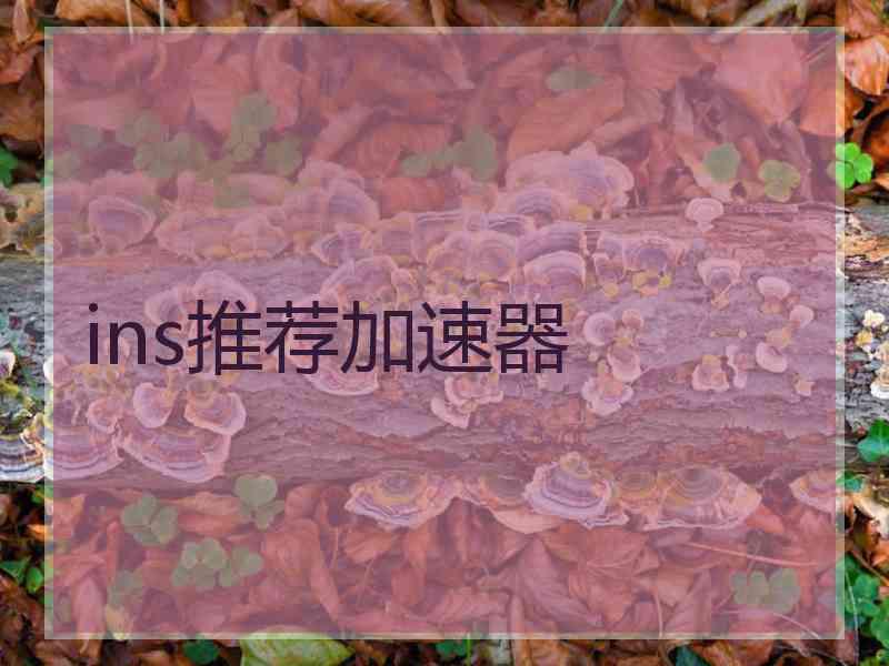 ins推荐加速器