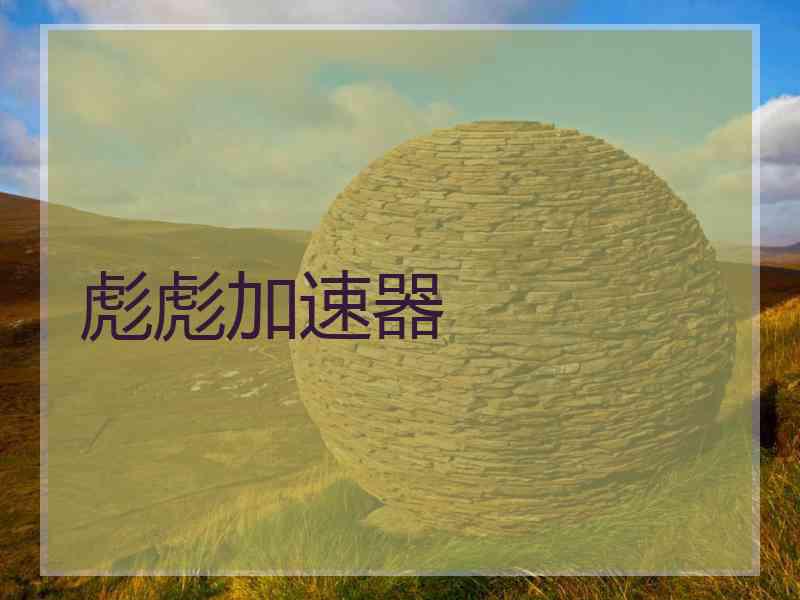 彪彪加速器
