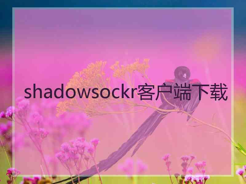 shadowsockr客户端下载