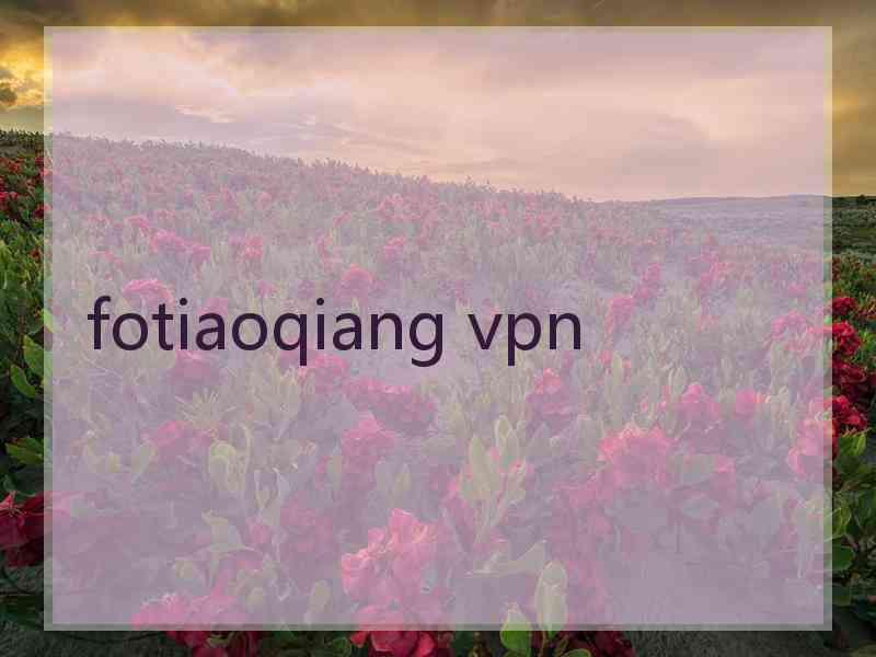 fotiaoqiang vpn