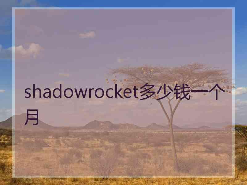 shadowrocket多少钱一个月