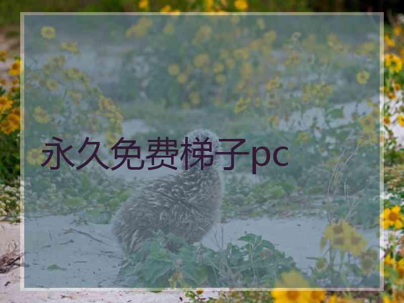永久免费梯子pc
