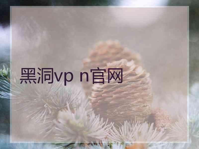 黑洞vp n官网