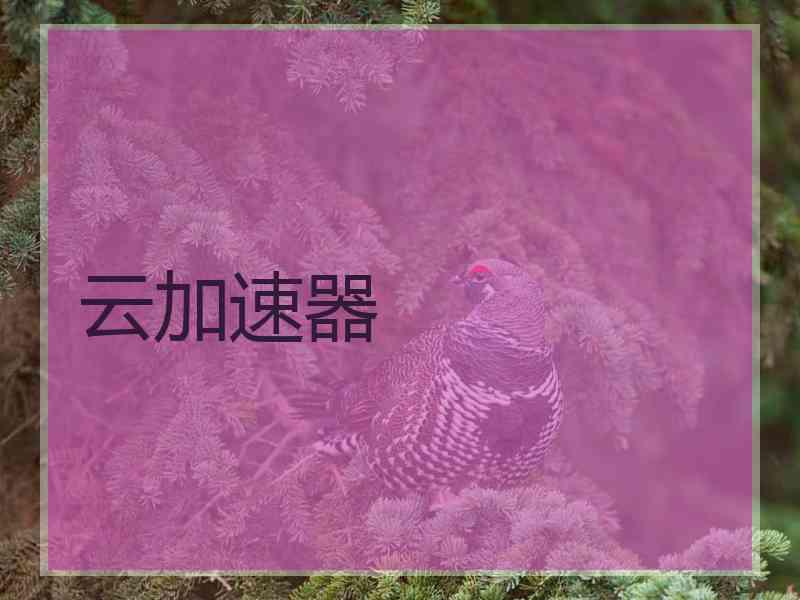 云加速器