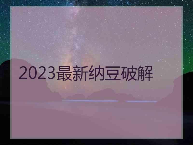 2023最新纳豆破解