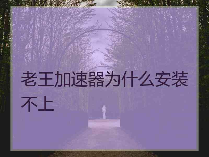 老王加速器为什么安装不上