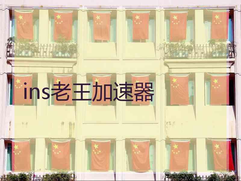 ins老王加速器