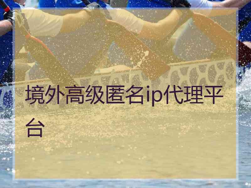 境外高级匿名ip代理平台