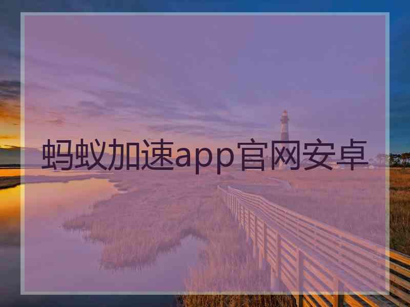 蚂蚁加速app官网安卓