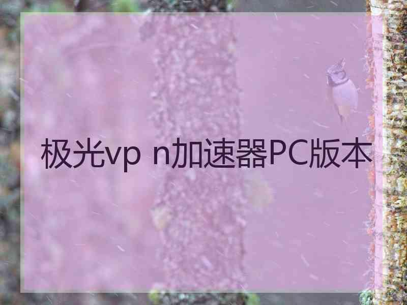 极光vp n加速器PC版本