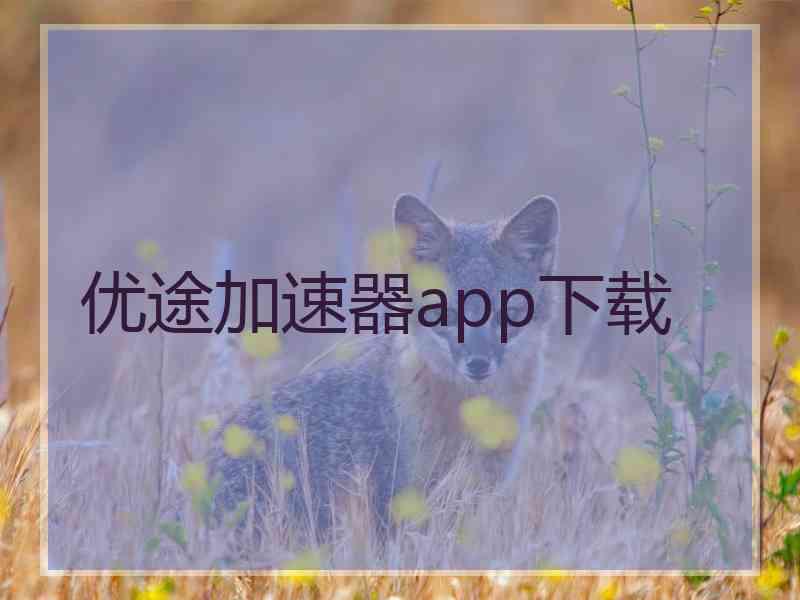 优途加速器app下载