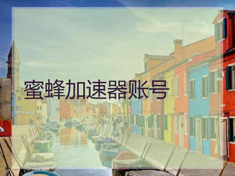 蜜蜂加速器账号