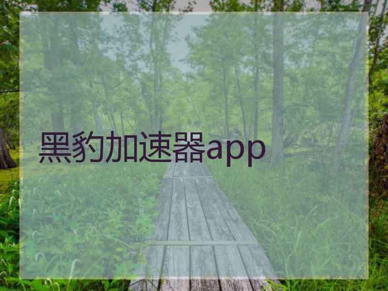 黑豹加速器app