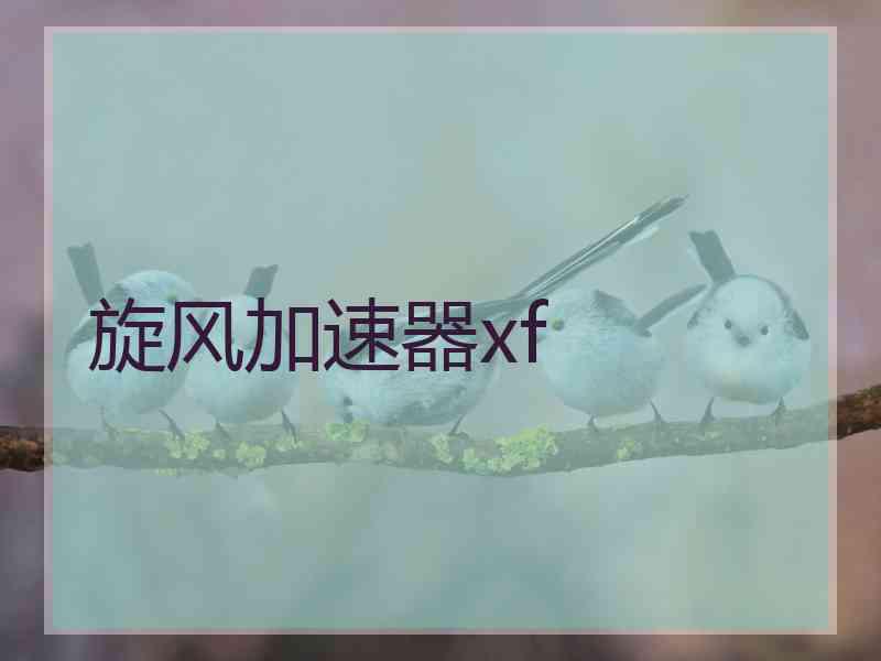 旋风加速器xf
