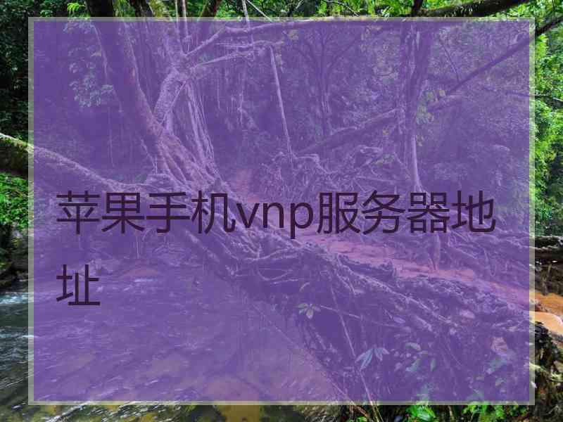 苹果手机vnp服务器地址