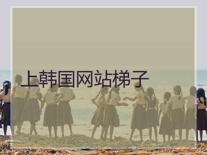 上韩国网站梯子