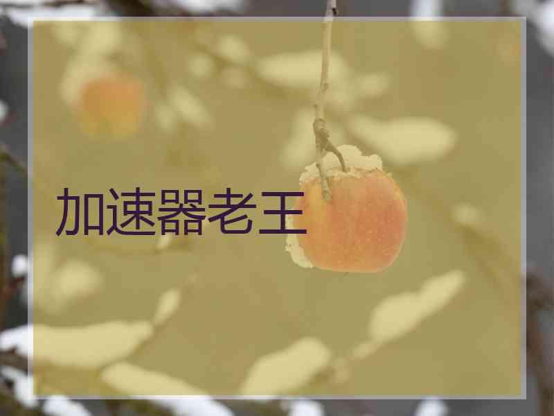 加速器老王