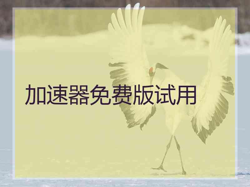 加速器免费版试用