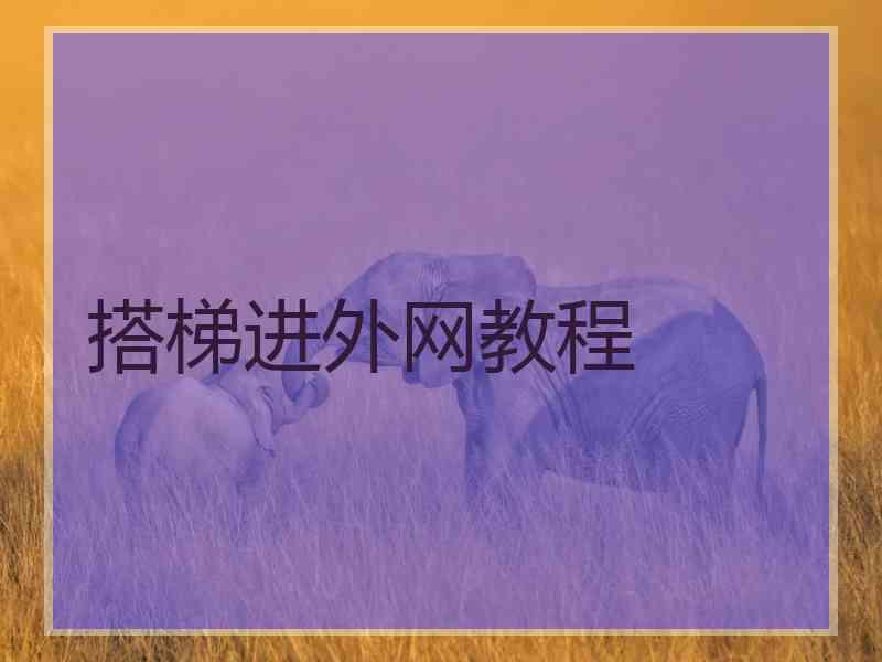 搭梯进外网教程