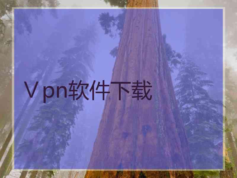 Ⅴpn软件下载