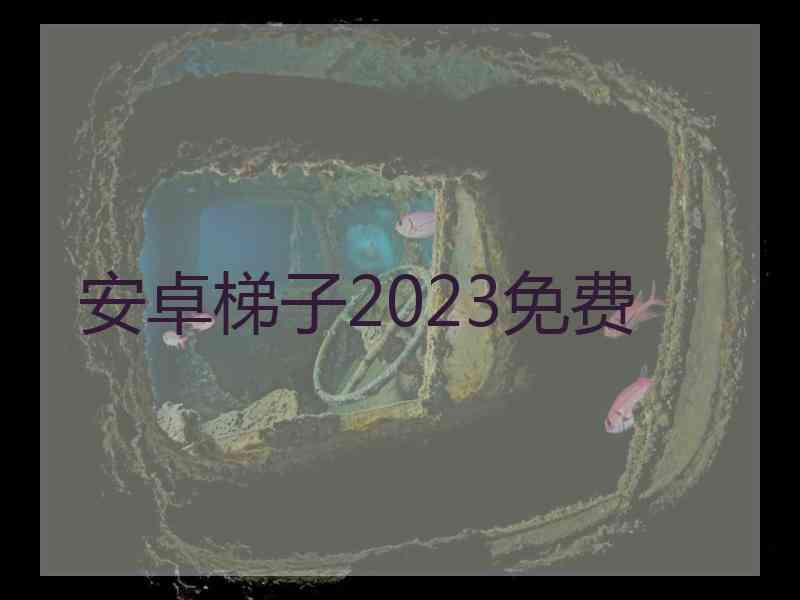 安卓梯子2023免费