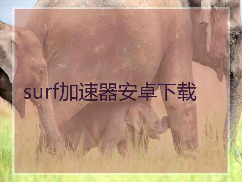 surf加速器安卓下载