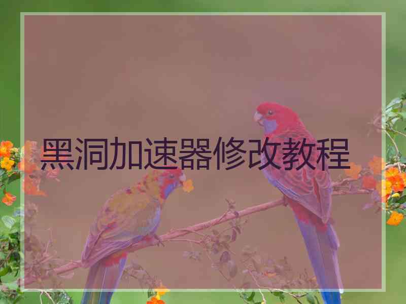 黑洞加速器修改教程