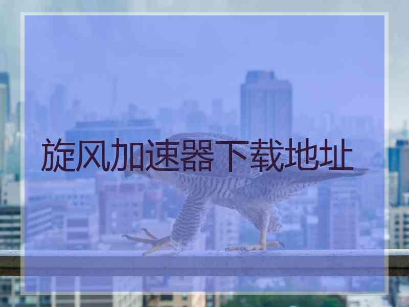 旋风加速器下载地址