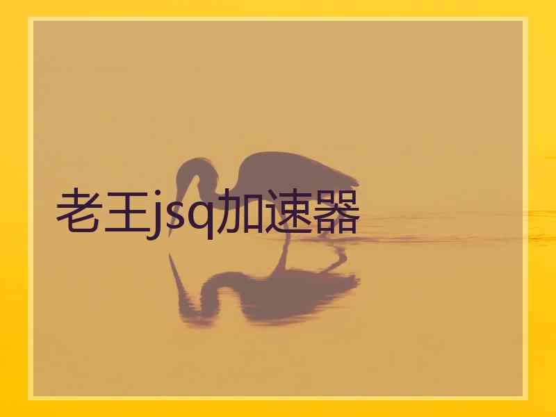 老王jsq加速器