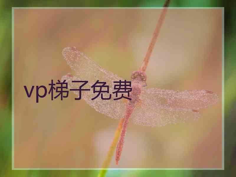 vp梯子免费