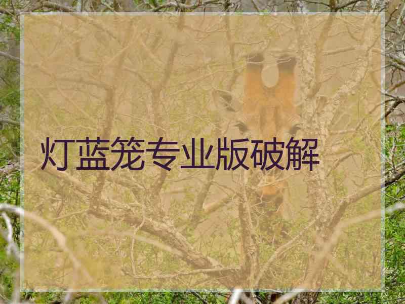 灯蓝笼专业版破解
