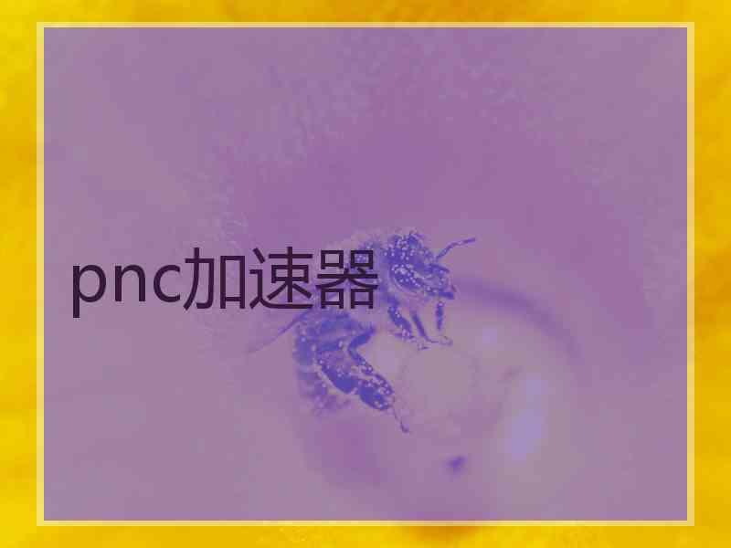 pnc加速器