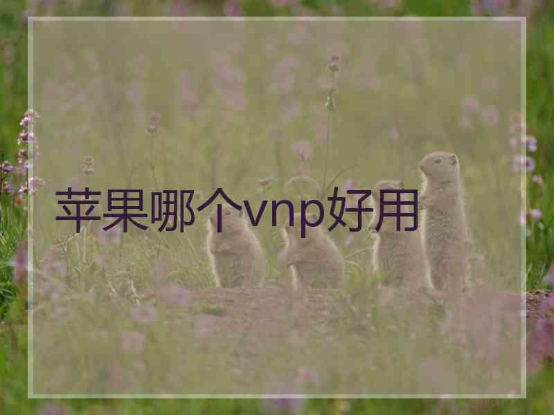 苹果哪个vnp好用