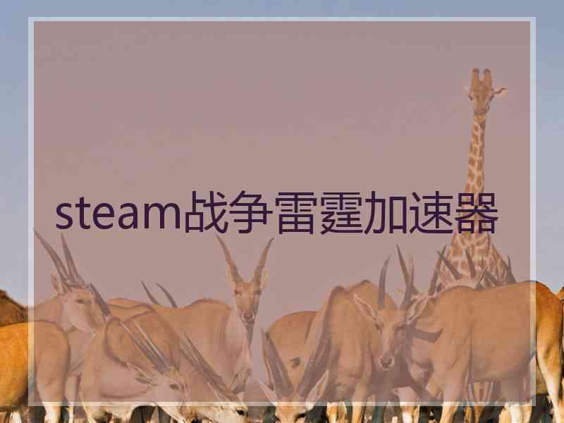 steam战争雷霆加速器