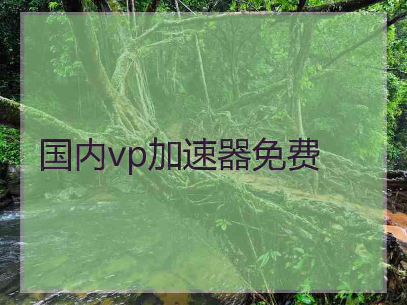 国内vp加速器免费
