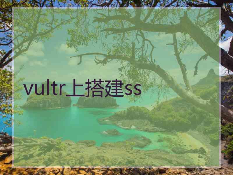 vultr上搭建ss