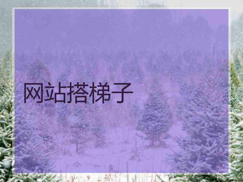 网站搭梯子