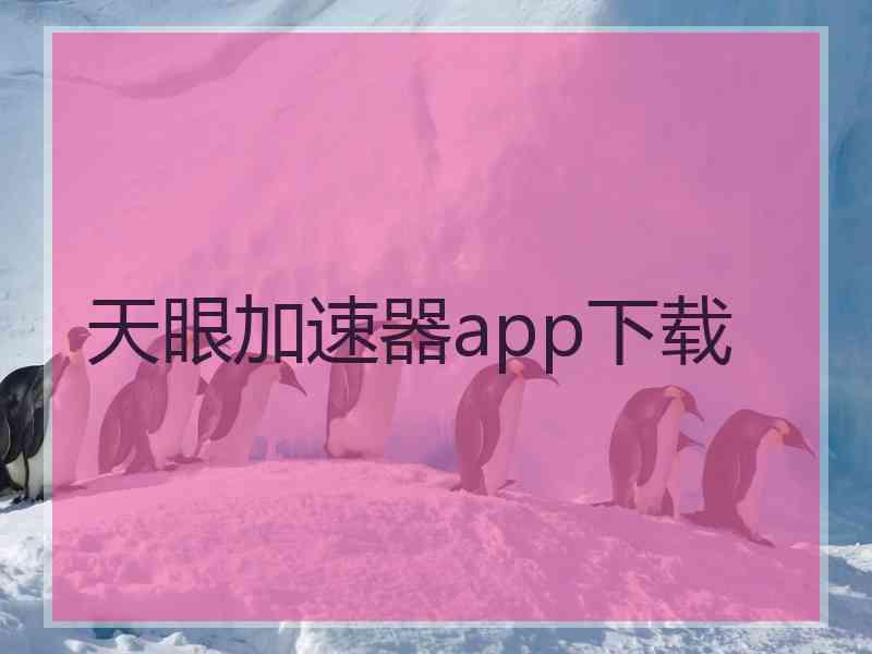 天眼加速器app下载